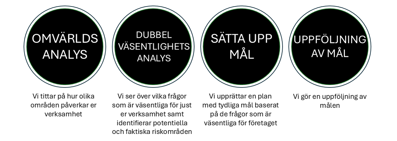 Till hemsidan (ringar med planen) svart rätt